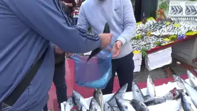 Edirne'de Palamut Fiyatları Tırmanıyor