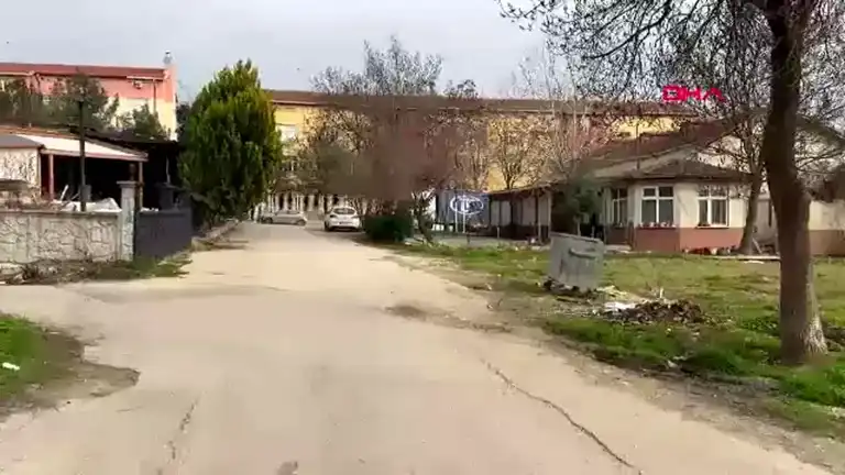 Edirne'de Öğrenciyi Sokak Köpeği Isırdı