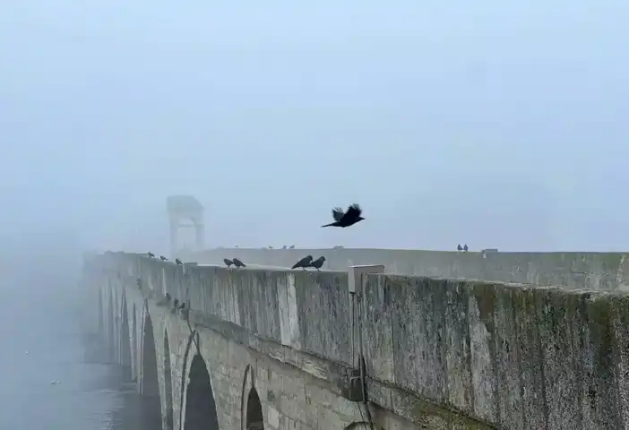 Edirne'de Yoğun Sis: Görüş 50 Metreye Düştü